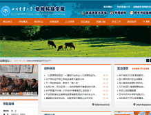 Tablet Screenshot of dky.sicau.edu.cn